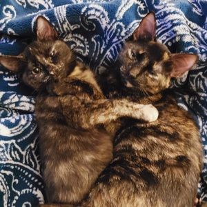 Meet your Posher, Jenae